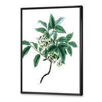 Дизајн на „Антички зелени лисја Растенија IV“ Традиционална врамена платно wallидна уметност печатење