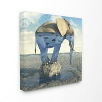 Океан слон Апстрактна животинска дизајн платно wallид 30,00 30,00 Сликарско платно уметничко печатење