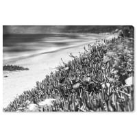Студио Винвуд Студио Наутичко и крајбрежно wallидно уметноста на платното „Куро Карденал“ - крајбрежно ноар “крајбрежно - црно,
